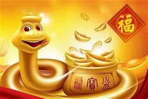 蛇年出生|蛇年是哪年 属蛇的是哪一年出生的